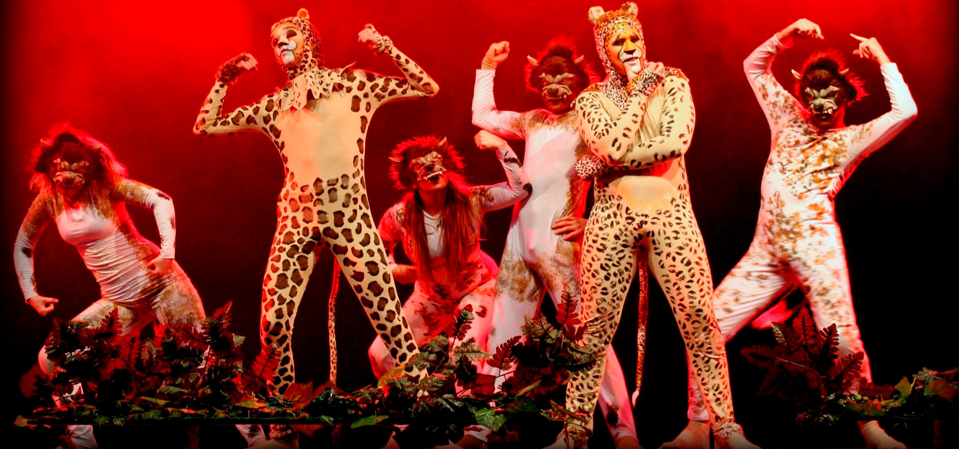 Kimba, La Leyenda del Len - Espectculos AMB